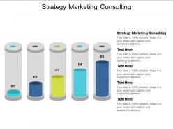 Strategy marketing consulting ppt powerpoint presentation icon example cpb