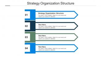Strategy organization structure ppt powerpoint presentation infographic template show cpb
