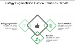 Strategy Segmentation Carbon Emissions Climate Change Company Published