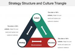 Strategy structure and culture triangle