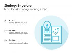 Strategy structure icon for marketing management