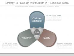 Strategy to focus on profit growth ppt examples slides