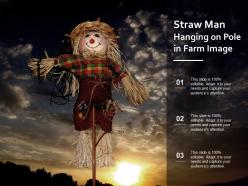 Straw man hanging on pole in farm image