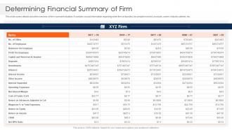 Strawman Project Plan Determining Financial Summary Of Firm