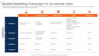 Strawman Project Plan Several Marketing Campaigns To Accelerate Sales