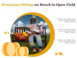 Strawman sitting on bench in open field