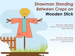 Strawman standing between crops on wooden stick