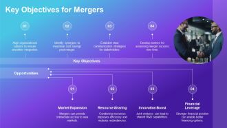 Streamlined Business Merger Toolkit PPT Slides AT Analytical Image