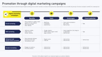 Streamlined Online Marketing Promotion Through Digital Marketing Campaigns MKT SS V