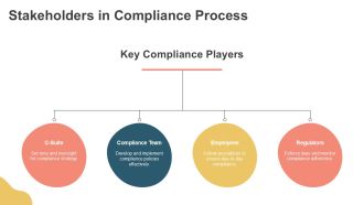 Streamlining Process Compliance Strategies PPT Structure AT Appealing Engaging