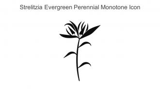 Strelitzia Evergreen Perennial Monotone Icon In Powerpoint Pptx Png And Editable Eps Format