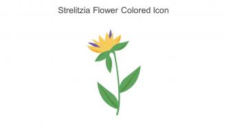Strelitzia Flower Colored Icon In Powerpoint Pptx Png And Editable Eps Format