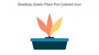 Strelitzia Green Plant Pot Colored Icon In Powerpoint Pptx Png And Editable Eps Format