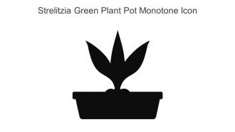 Strelitzia Green Plant Pot Monotone Icon In Powerpoint Pptx Png And Editable Eps Format