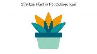 Strelitzia Plant In Pot Colored Icon In Powerpoint Pptx Png And Editable Eps Format