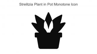 Strelitzia Plant In Pot Monotone Icon In Powerpoint Pptx Png And Editable Eps Format