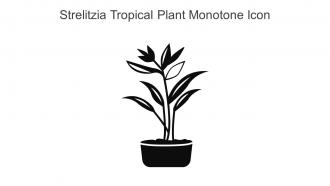 Strelitzia Tropical Plant Monotone Icon In Powerpoint Pptx Png And Editable Eps Format