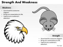 Strength And Weaknesses 34