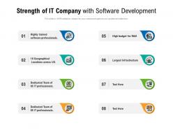 Strength of it company with software development