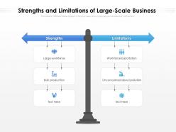 Strengths and limitations of large scale business