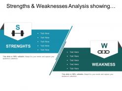 Strengths and weaknesses analysis showing list of organisational characteristics
