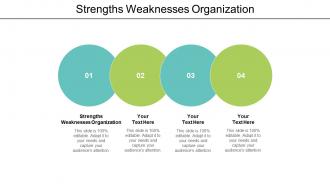 Strengths weaknesses organization ppt powerpoint presentation model examples cpb