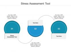 Stress assessment tool ppt powerpoint presentation file styles cpb