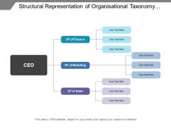Structural representation of organisational taxonomy covering different divisions
