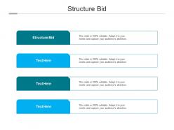 Structure bid ppt powerpoint presentation outline show cpb