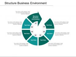 Structure business environment ppt powerpoint presentation pictures graphics download cpb