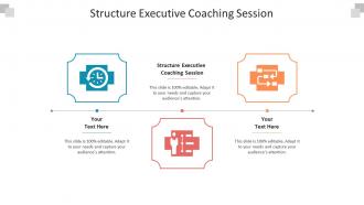 Structure executive coaching session ppt powerpoint presentation icon vector cpb