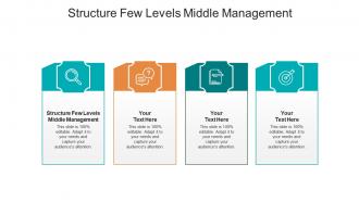 Structure few levels middle management ppt powerpoint presentation gallery maker cpb