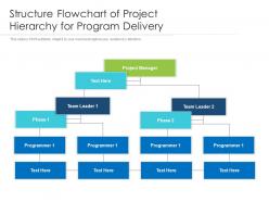 Structure flowchart of project hierarchy for program delivery