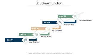 Structure function ppt powerpoint presentation portfolio rules cpb