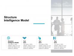 Structure intelligence model ppt powerpoint presentation styles guide cpb