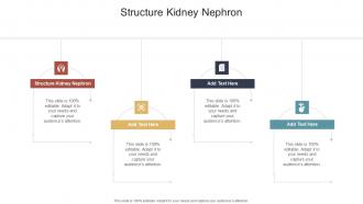 Structure Kidney Nephron In Powerpoint And Google Slides Cpb