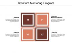 Structure mentoring program ppt powerpoint presentation model microsoft cpb