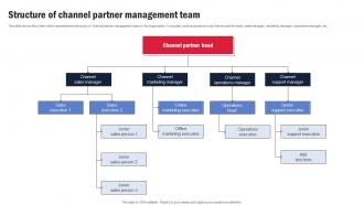 Structure Of Channel Partner Management Team Channel Partner Program Strategy SS V