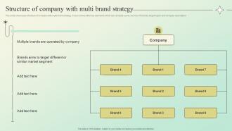 Structure Of Company With Multi Brand Strategy Building A Brand Identity For Companies