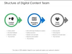 Structure Of Digital Content Team