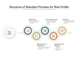 Structure Of Standard Process For Risk Profile