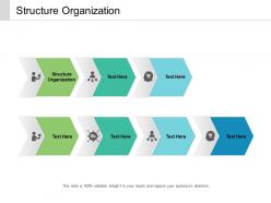 Structure organization ppt powerpoint presentation file vector cpb