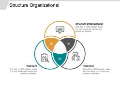 Structure organizational ppt powerpoint presentation gallery guide cpb