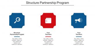 Structure Partnership Program Ppt Powerpoint Presentation Ideas Show Cpb