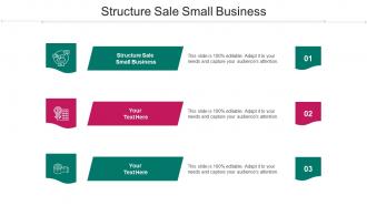 Structure Sale Small Business Ppt Powerpoint Presentation Summary Clipart Images Cpb