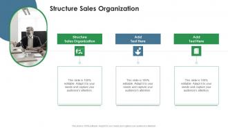 Structure Sales Organization In Powerpoint And Google Slides Cpb
