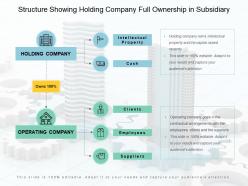 Structure showing holding company full ownership in subsidiary