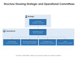 Structure Showing Strategic And Operational Committees