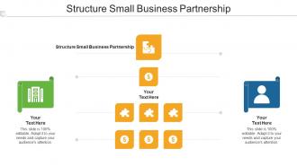 Structure Small Business Partnership Ppt Powerpoint Presentation Styles Diagrams Cpb