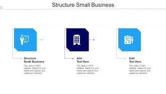 Structure Small Business Ppt Powerpoint Presentation Pictures File Formats Cpb